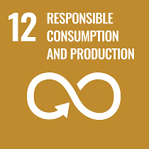 12 Respnsible Consumption And Production