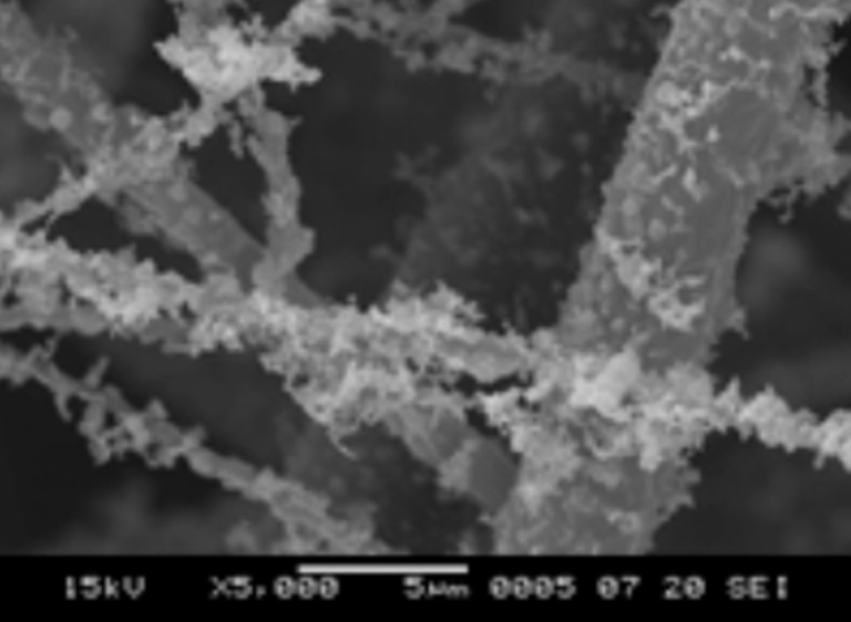 Electrostatic filter fiber structure after use (SEM image)