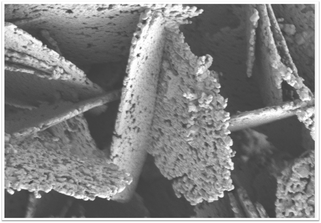 Pitcure of Flake-Shaped AlN