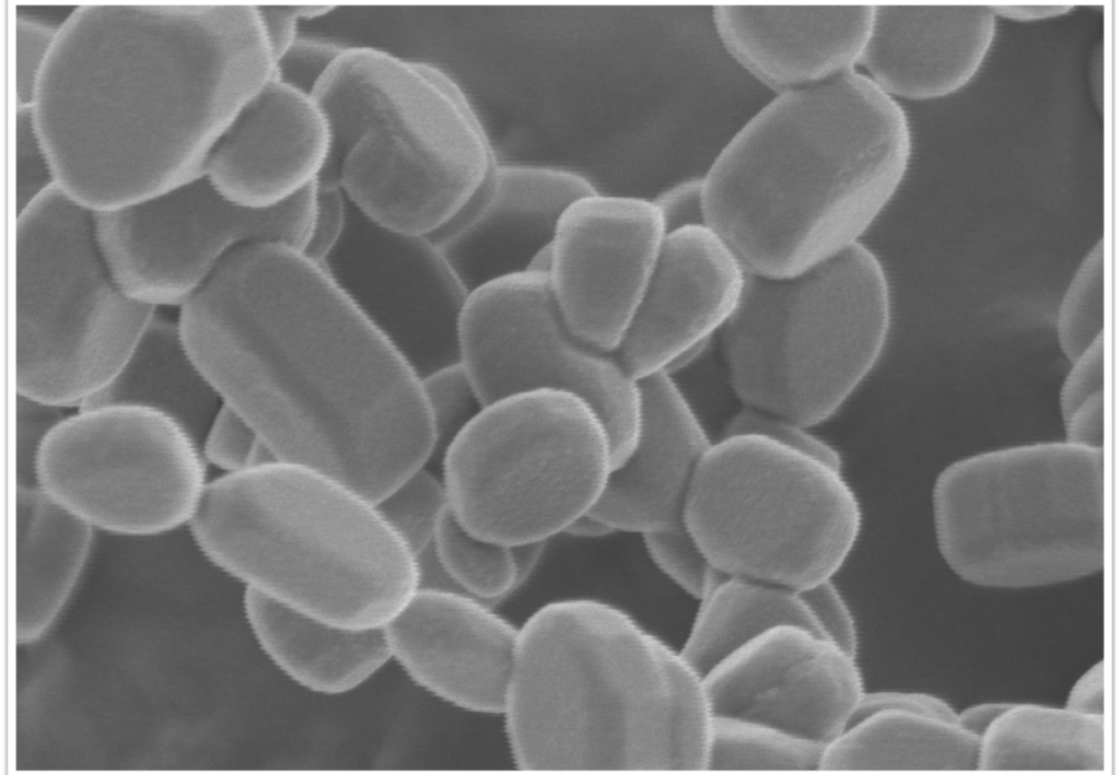 Picture of Bead-Shaped AlN